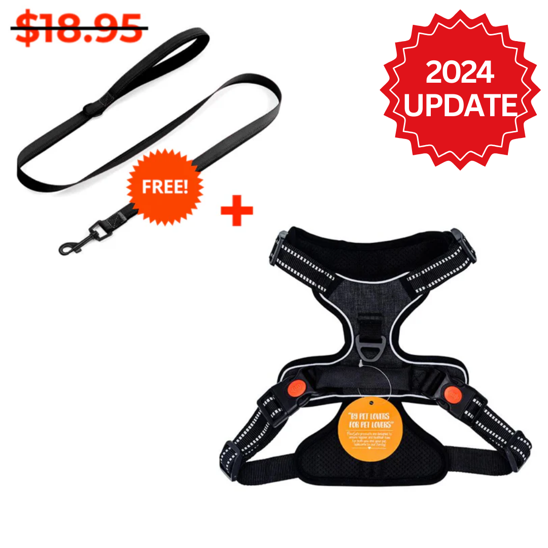 SafeJourney Harness + FREE Leash