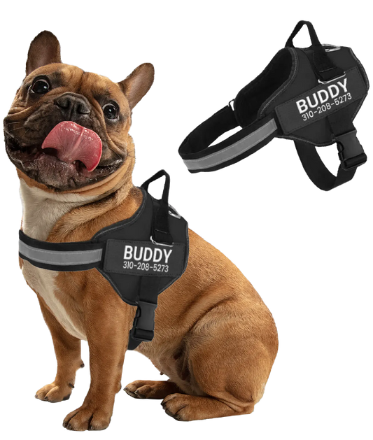 Personalized No Pull Dog Harness + FREE Leash