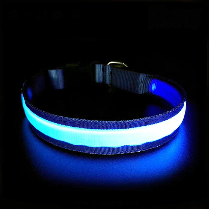 SafePet LED Collar (FREE Today)