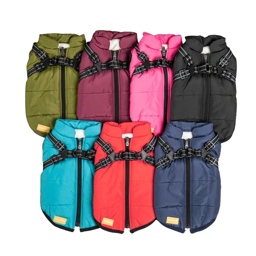 SafePet™ 3 in 1 Jacket + FREE Shoes